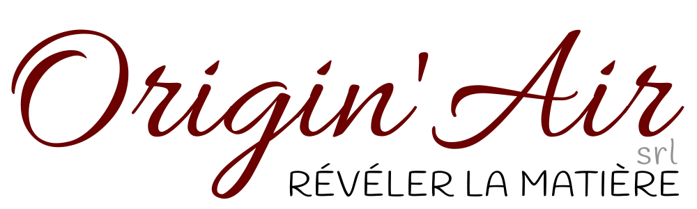 Logo Origin'Air, société de décapage écologique par aérogommage